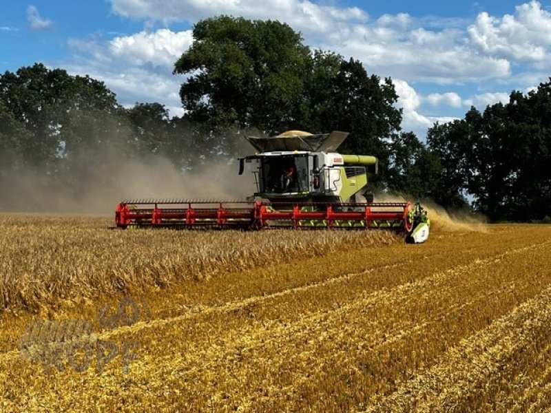 Schneidwerk of the type CLAAS Bandschneidwerk Convio Flex 1230 / 4 Rad gelenkt, Gebrauchtmaschine in Schutterzell (Picture 3)